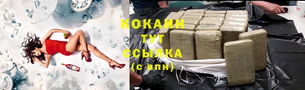крисы Гусиноозёрск