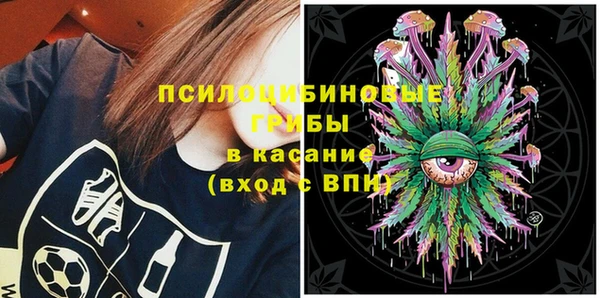 бутират Гусь-Хрустальный