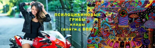 крисы Гусиноозёрск