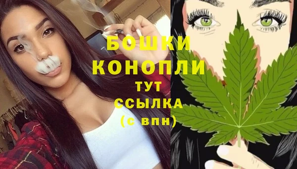 крисы Гусиноозёрск