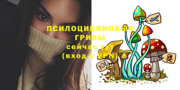 бутират Гусь-Хрустальный